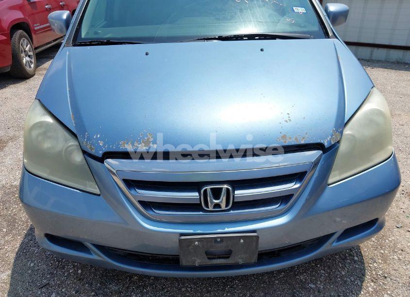 Photo 6 of 2007 Honda Odyssey EX-L (VIN 5FNRL38767B015096)