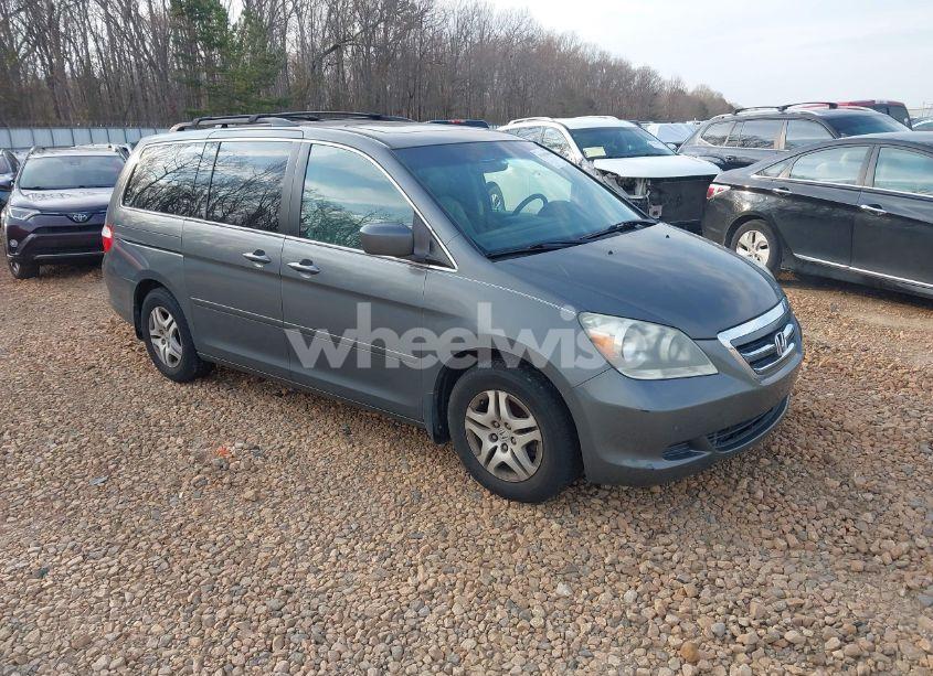 2007 Honda Odyssey EX-L (VIN 5FNRL38767B052942) main photo