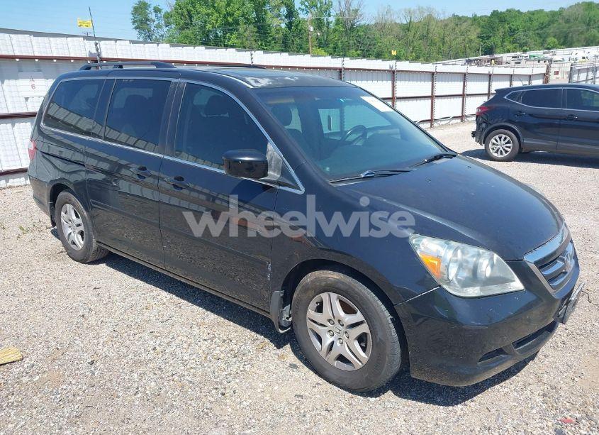 2007 Honda Odyssey EX-L (VIN 5FNRL38767B134735) main photo