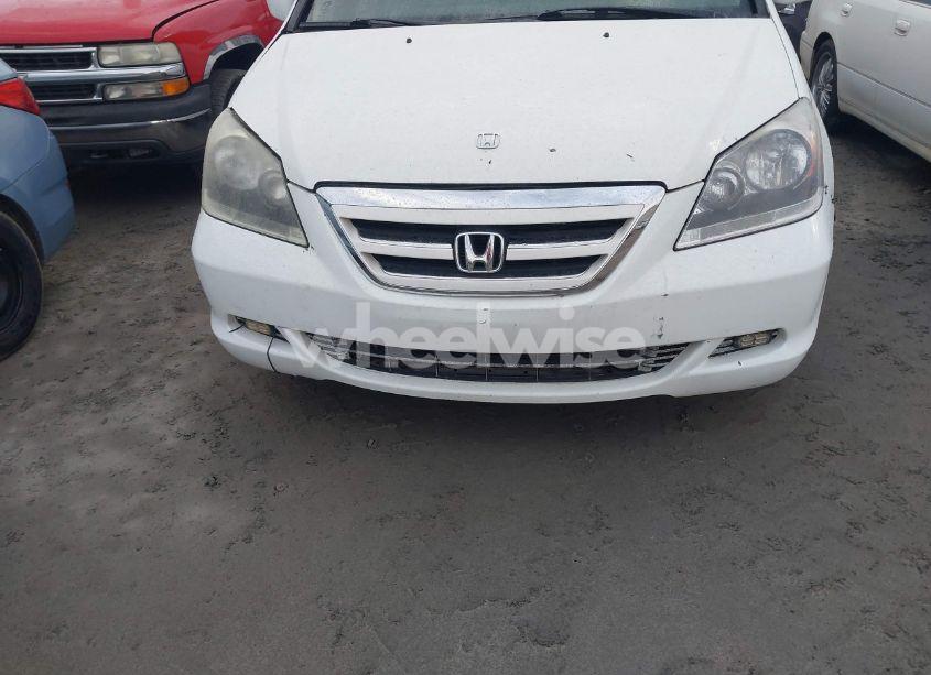 Photo 6 of 2007 Honda Odyssey EX-L (VIN 5FNRL38767B426420)