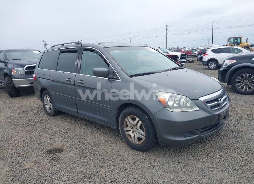 2007 Honda Odyssey EX-L (VIN 5FNRL38767B434257) main photo