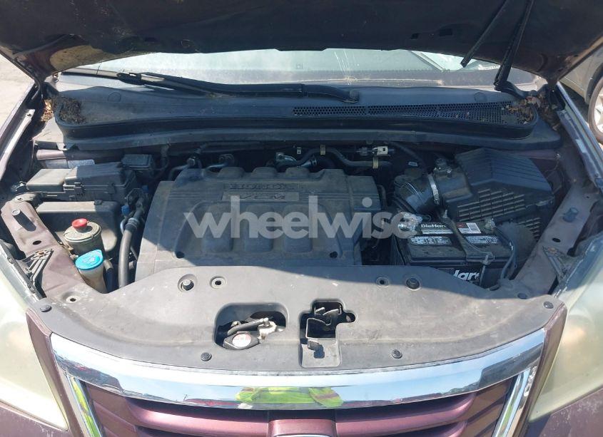 Photo 10 of 2008 Honda Odyssey EX-L (VIN 5FNRL38768B008389)