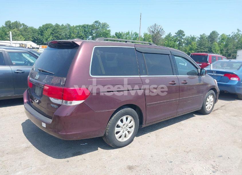 Photo 4 of 2008 Honda Odyssey EX-L (VIN 5FNRL38768B008389)
