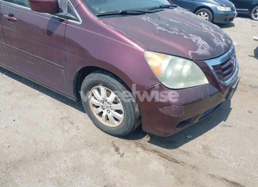 Photo 6 of 2008 Honda Odyssey EX-L (VIN 5FNRL38768B008389)