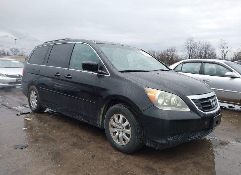 2008 Honda Odyssey EX-L (VIN 5FNRL38768B053218) main photo