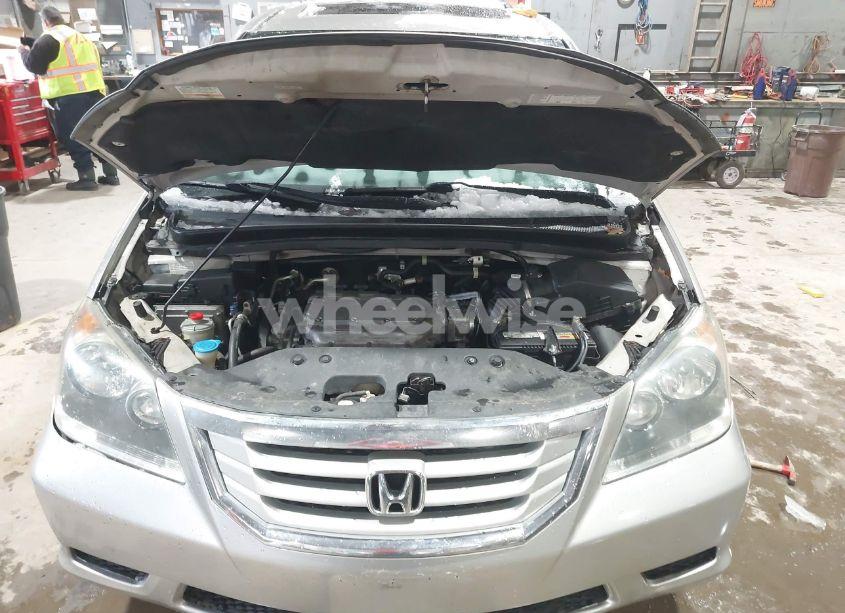 Photo 10 of 2008 Honda Odyssey EX-L (VIN 5FNRL38768B114499)