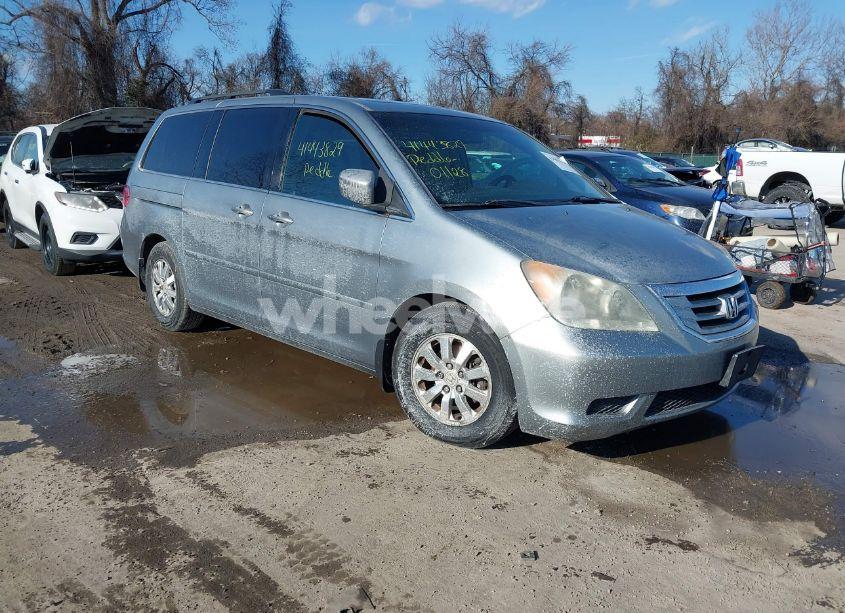 2009 Honda Odyssey EX-L (VIN 5FNRL38769B001752) main photo