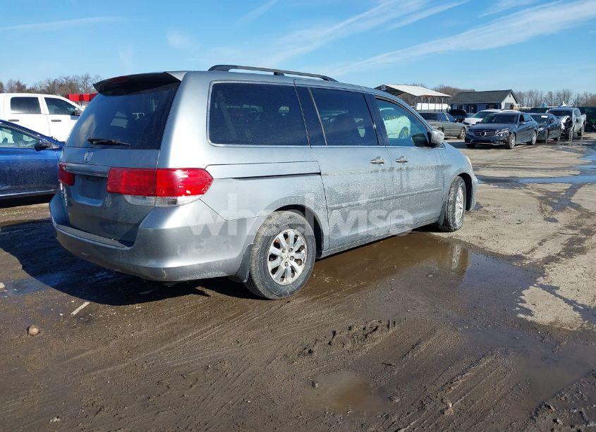 Photo 4 of 2009 Honda Odyssey EX-L (VIN 5FNRL38769B001752)