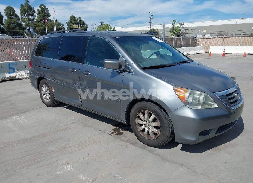 2009 Honda Odyssey EX-L (VIN 5FNRL38769B017160) main photo