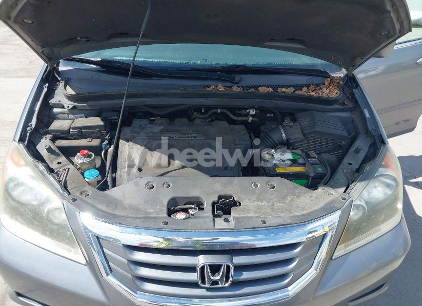 Photo 10 of 2009 Honda Odyssey EX-L (VIN 5FNRL38769B017160)