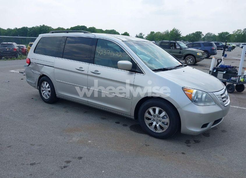 2009 Honda Odyssey EX-L (VIN 5FNRL38769B018602) main photo
