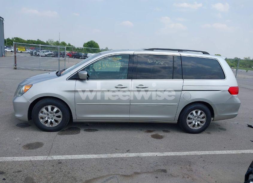 Photo 14 of 2009 Honda Odyssey EX-L (VIN 5FNRL38769B018602)
