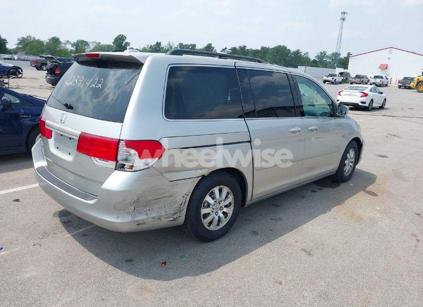 Photo 4 of 2009 Honda Odyssey EX-L (VIN 5FNRL38769B018602)