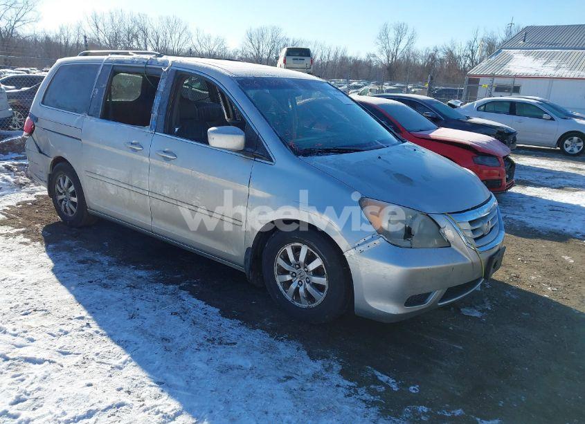 2009 Honda Odyssey EX-L (VIN 5FNRL38769B044326) main photo