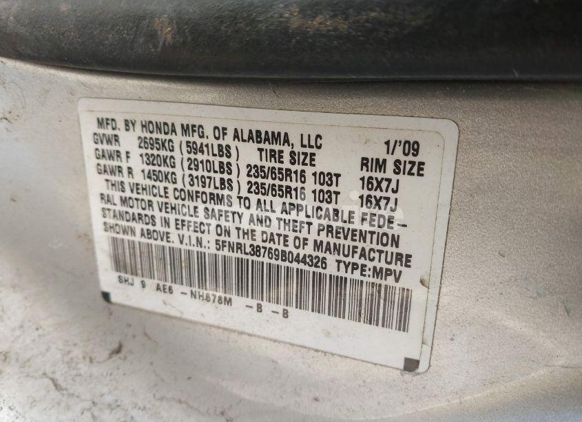 Photo 9 of 2009 Honda Odyssey EX-L (VIN 5FNRL38769B044326)