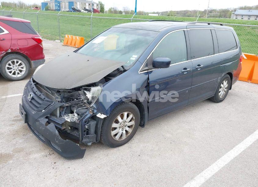 Photo 2 of 2009 Honda Odyssey EX-L (VIN 5FNRL38769B409281)