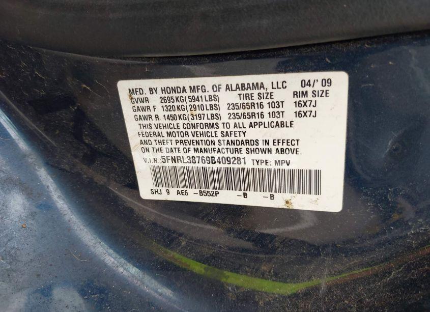 Photo 9 of 2009 Honda Odyssey EX-L (VIN 5FNRL38769B409281)