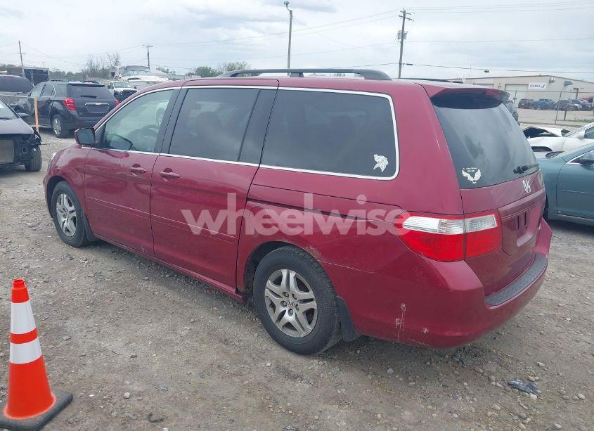 Photo 3 of 2005 Honda Odyssey EX-L (VIN 5FNRL38775B035466)