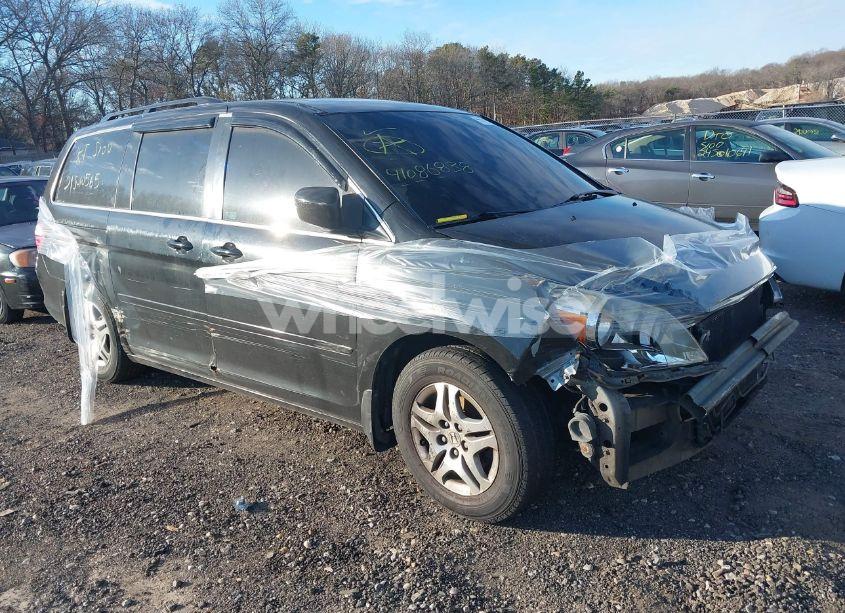 2005 Honda Odyssey EX-L (VIN 5FNRL38775B035905) main photo