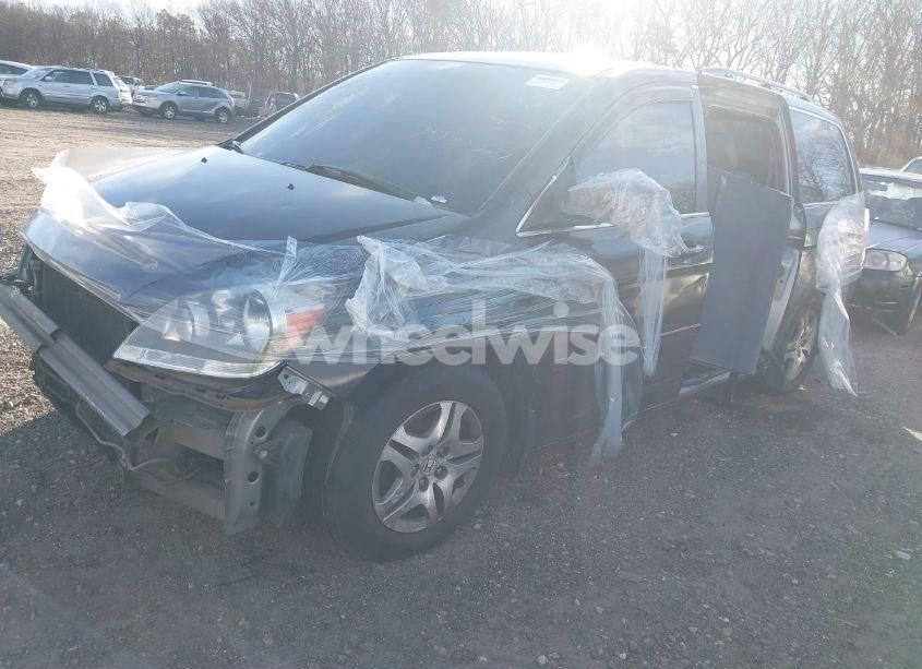 Photo 2 of 2005 Honda Odyssey EX-L (VIN 5FNRL38775B035905)