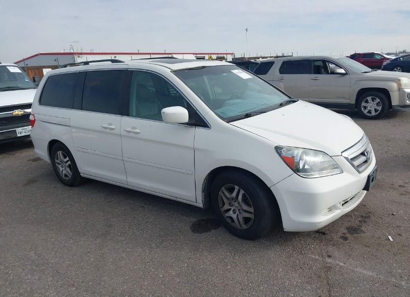 2005 Honda Odyssey EX-L (VIN 5FNRL38775B126334) main photo
