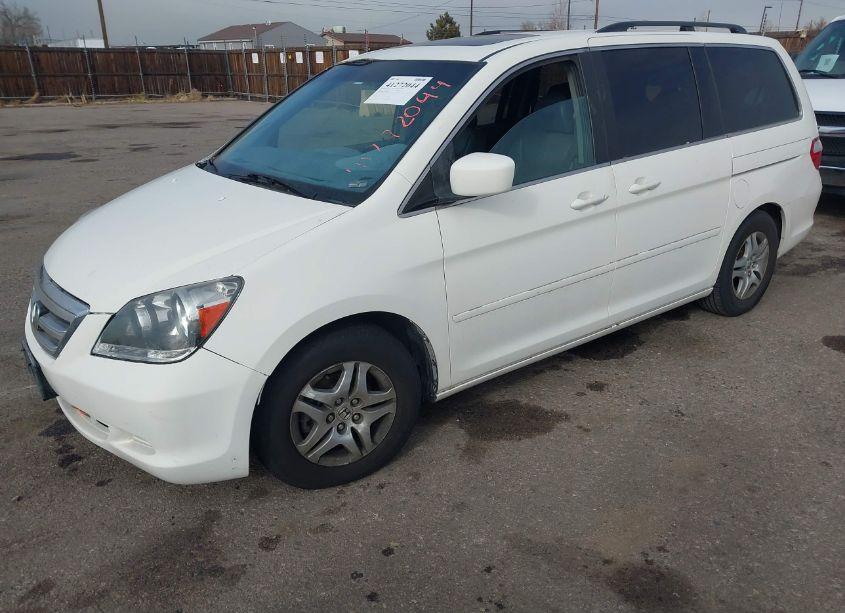 Photo 2 of 2005 Honda Odyssey EX-L (VIN 5FNRL38775B126334)