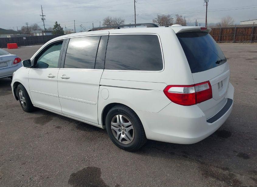 Photo 3 of 2005 Honda Odyssey EX-L (VIN 5FNRL38775B126334)