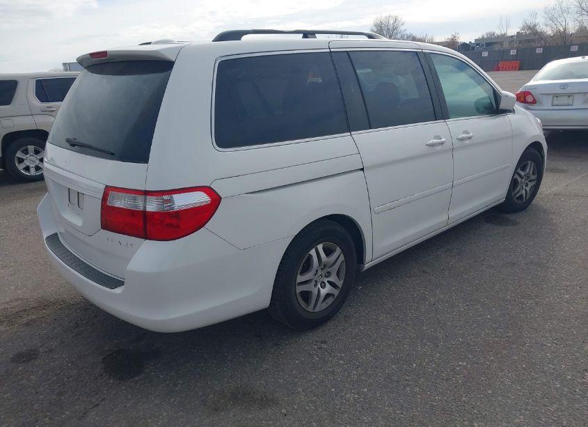 Photo 4 of 2005 Honda Odyssey EX-L (VIN 5FNRL38775B126334)