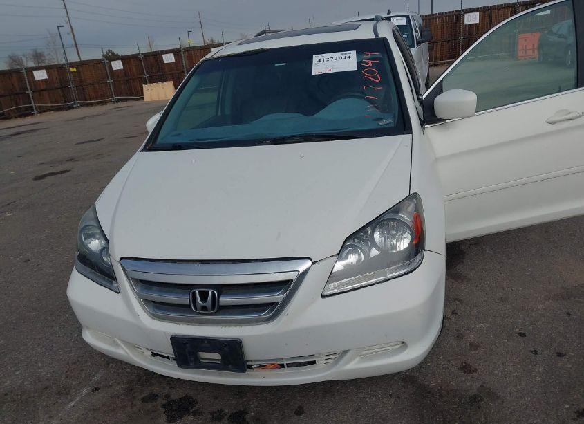 Photo 6 of 2005 Honda Odyssey EX-L (VIN 5FNRL38775B126334)