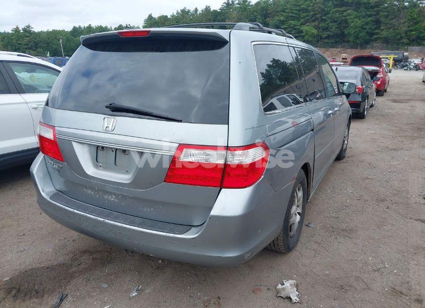 Photo 4 of 2006 Honda Odyssey EX-L (VIN 5FNRL38776B050308)