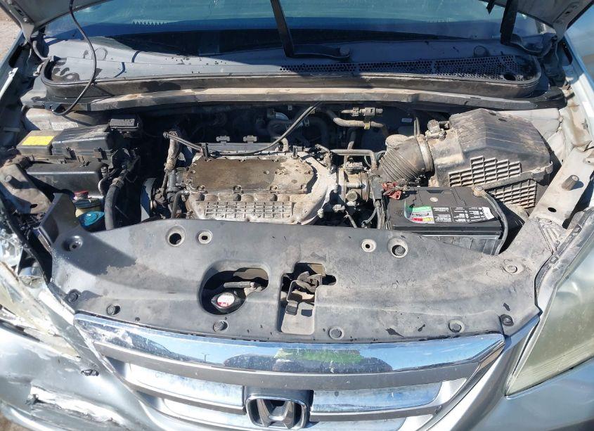 Photo 10 of 2007 Honda Odyssey EX-L (VIN 5FNRL38777B001224)