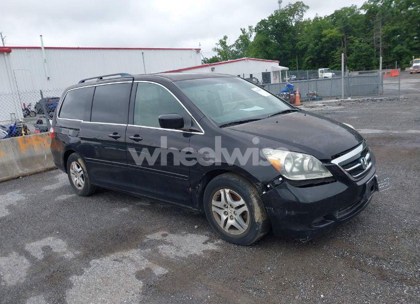 2007 Honda Odyssey EXL (VIN 5FNRL38777B055851) main photo