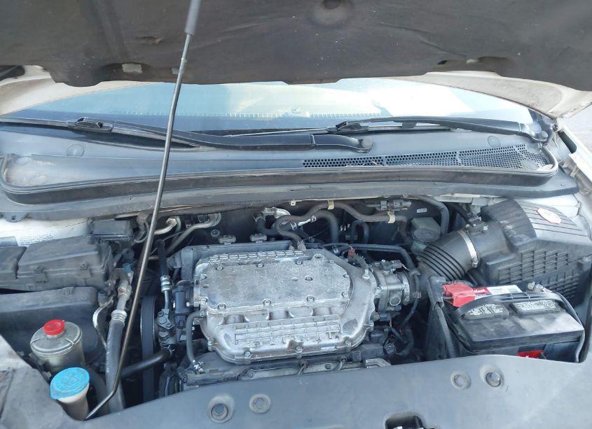 Photo 10 of 2007 Honda Odyssey EX-L (VIN 5FNRL38777B136400)