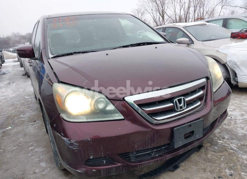 2007 Honda Odyssey EX-L (VIN 5FNRL38777B406368) main photo
