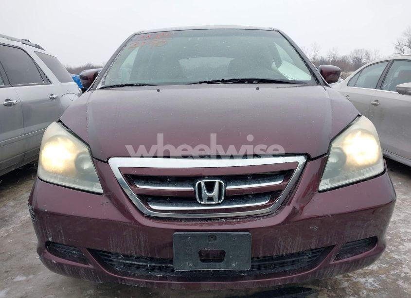 Photo 12 of 2007 Honda Odyssey EX-L (VIN 5FNRL38777B406368)