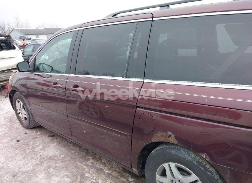 Photo 14 of 2007 Honda Odyssey EX-L (VIN 5FNRL38777B406368)