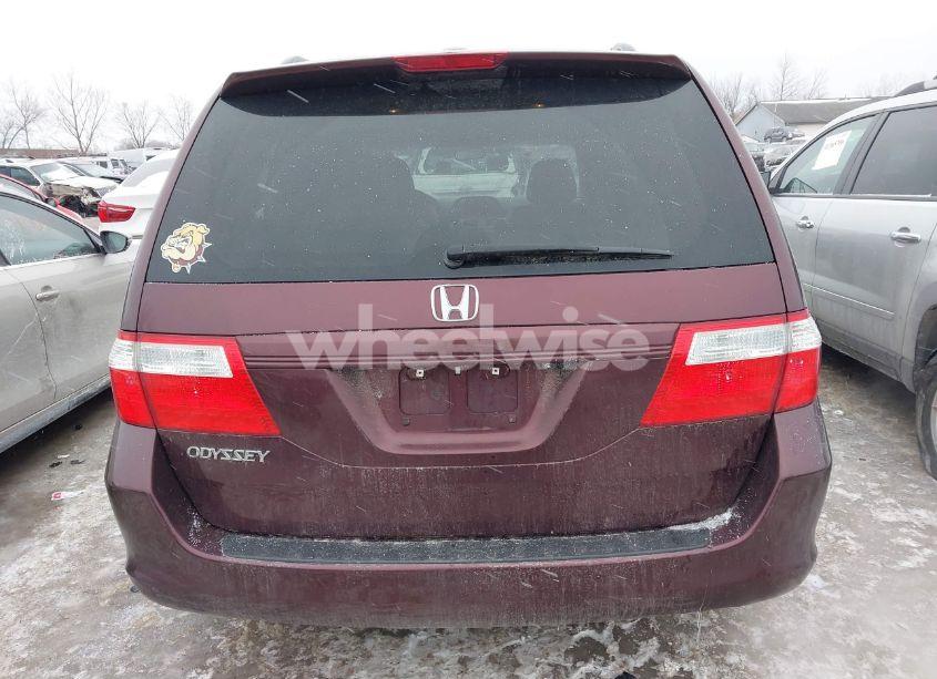 Photo 16 of 2007 Honda Odyssey EX-L (VIN 5FNRL38777B406368)
