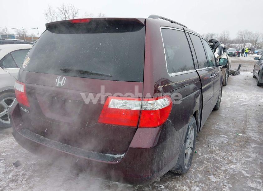 Photo 4 of 2007 Honda Odyssey EX-L (VIN 5FNRL38777B406368)
