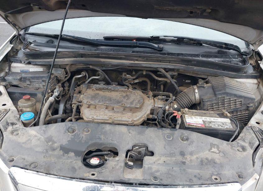 Photo 10 of 2007 Honda Odyssey EX-L (VIN 5FNRL38777B410503)