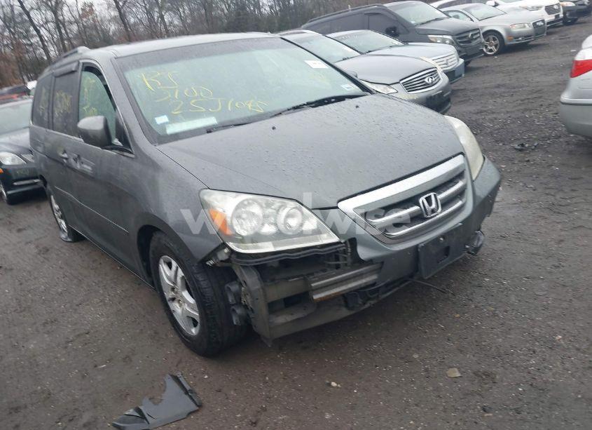 2007 Honda Odyssey EX-L (VIN 5FNRL38777B456638) main photo