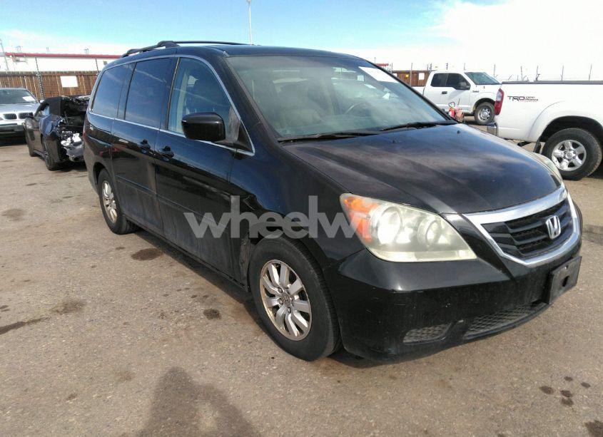 2009 Honda Odyssey EX-L (VIN 5FNRL38779B002859) main photo