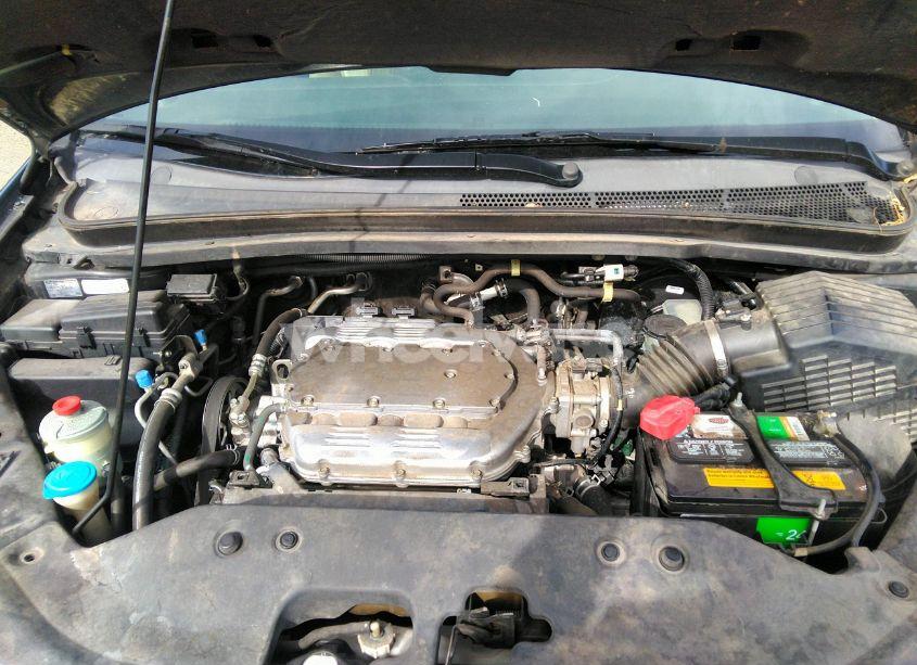 Photo 10 of 2009 Honda Odyssey EX-L (VIN 5FNRL38779B002859)