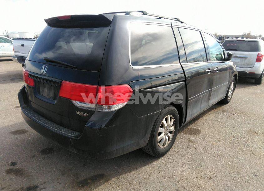 Photo 4 of 2009 Honda Odyssey EX-L (VIN 5FNRL38779B002859)