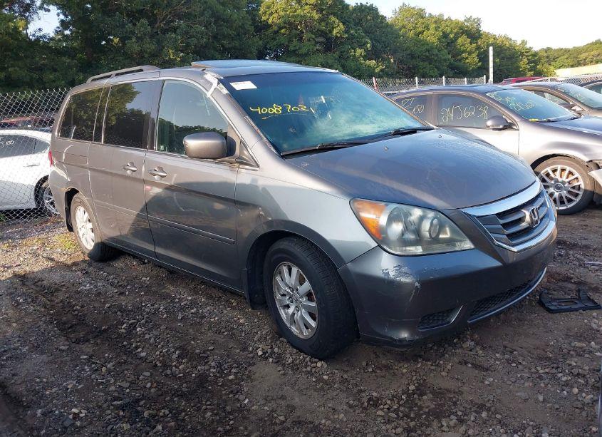 2009 Honda Odyssey EX-L (VIN 5FNRL38779B012744) main photo