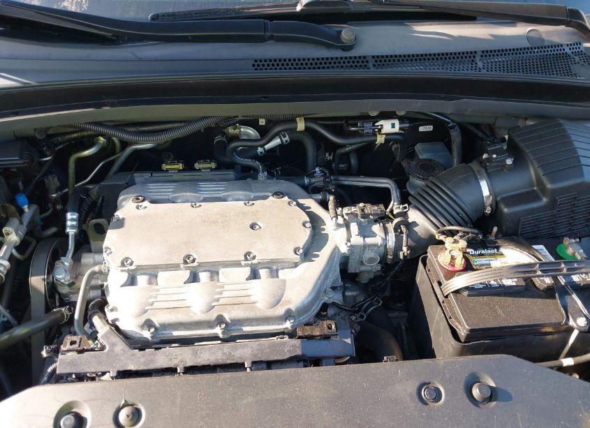 Photo 10 of 2009 Honda Odyssey EX-L (VIN 5FNRL38779B012744)