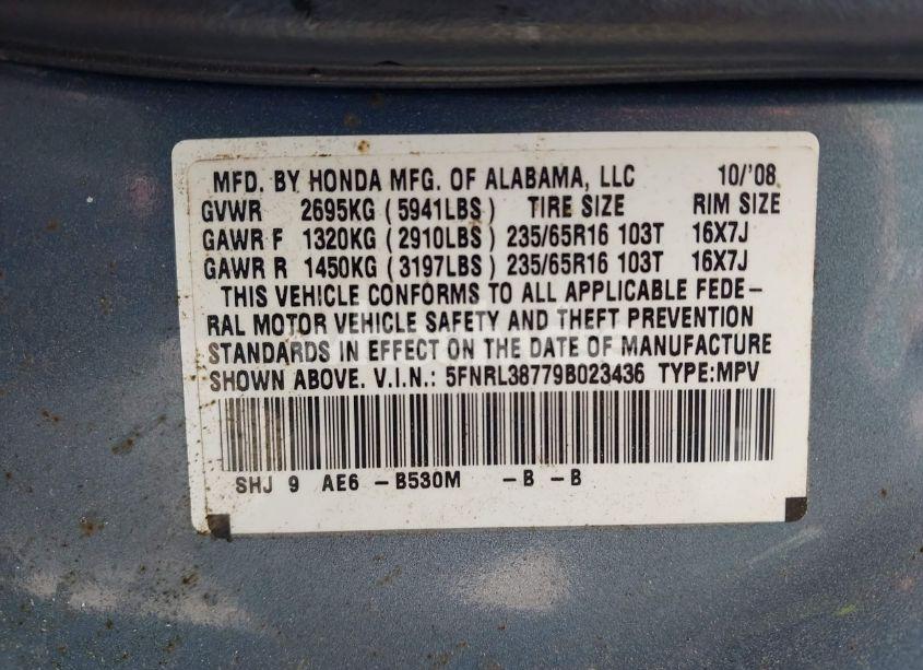 Photo 9 of 2009 Honda Odyssey EX-L (VIN 5FNRL38779B023436)