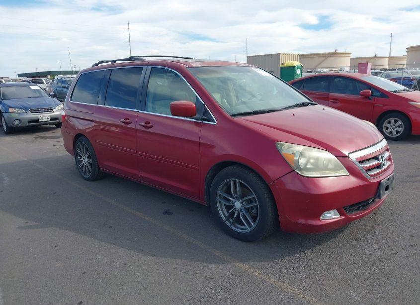 2005 Honda Odyssey EX-L (VIN 5FNRL38785B007241) main photo