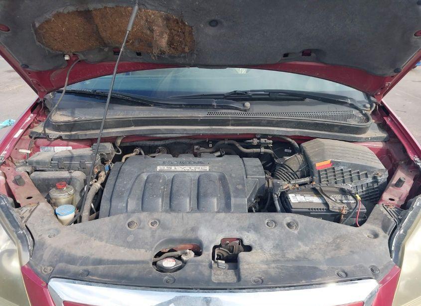 Photo 10 of 2005 Honda Odyssey EX-L (VIN 5FNRL38785B007241)