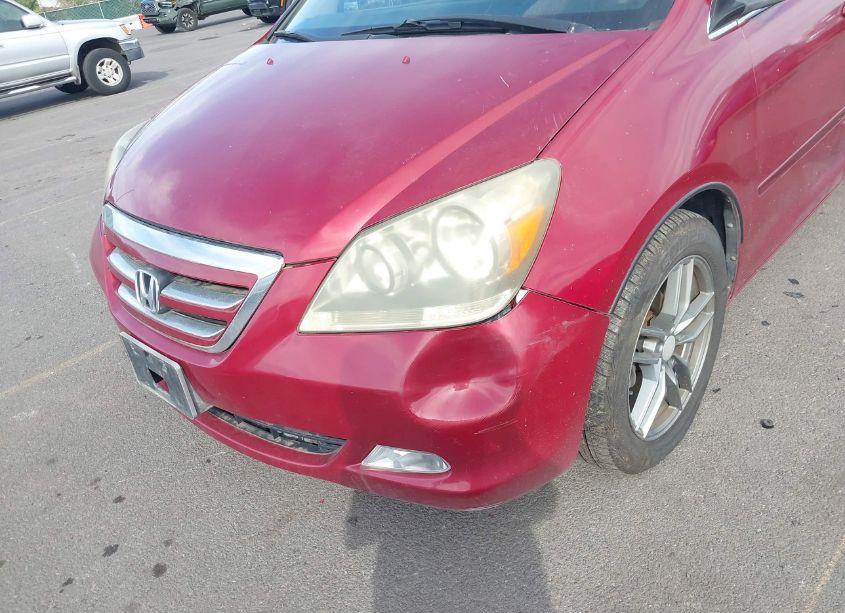 Photo 6 of 2005 Honda Odyssey EX-L (VIN 5FNRL38785B007241)