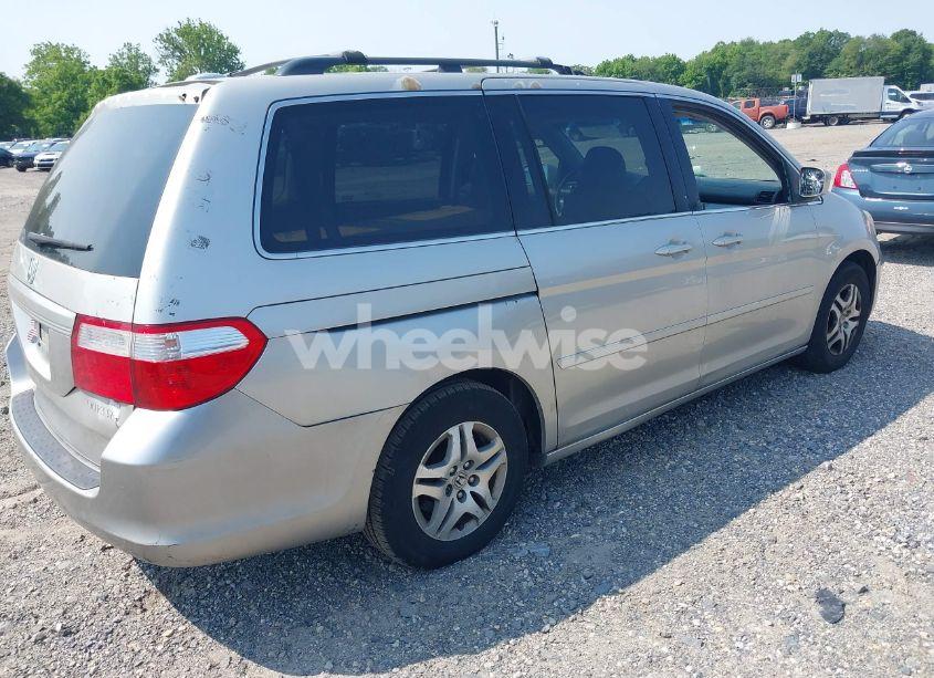Photo 4 of 2005 Honda Odyssey EX-L (VIN 5FNRL38785B036142)